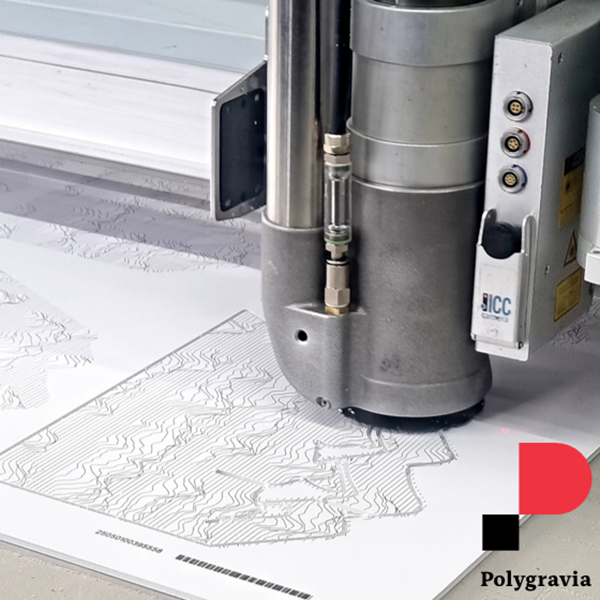 A la découverte de Polygravia Innovation Visuelle SA
